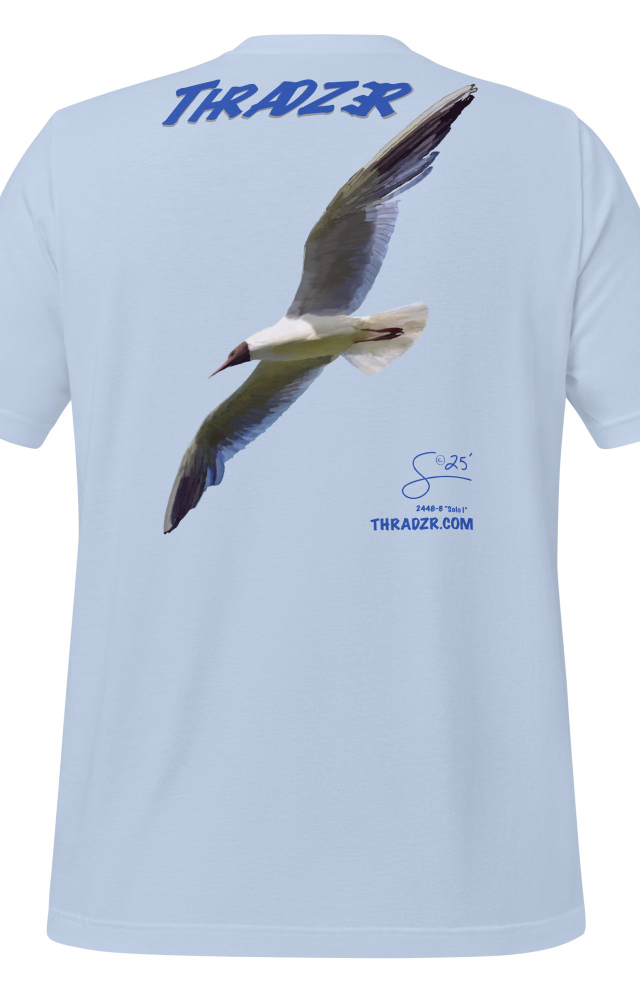 Soar